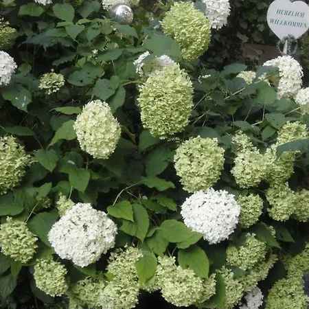 Jaegerwirt Au an der Donau