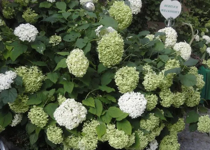 Jaegerwirt Au an der Donau